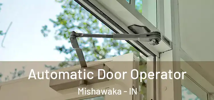 Automatic Door Operator Mishawaka - IN