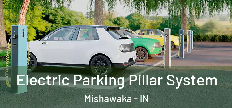 Electric Parking Pillar System Mishawaka - IN