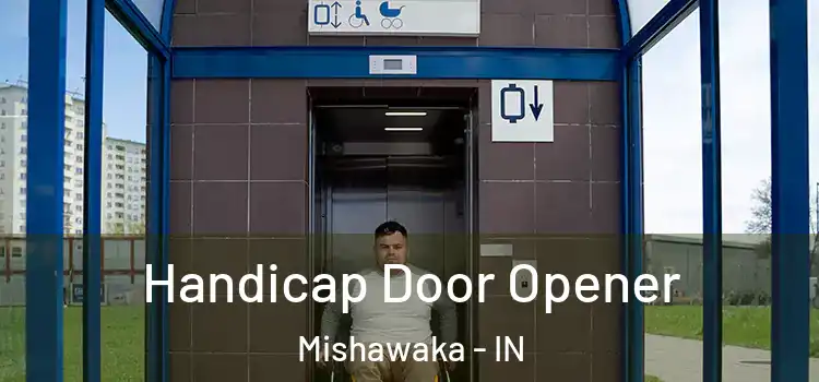 Handicap Door Opener Mishawaka - IN