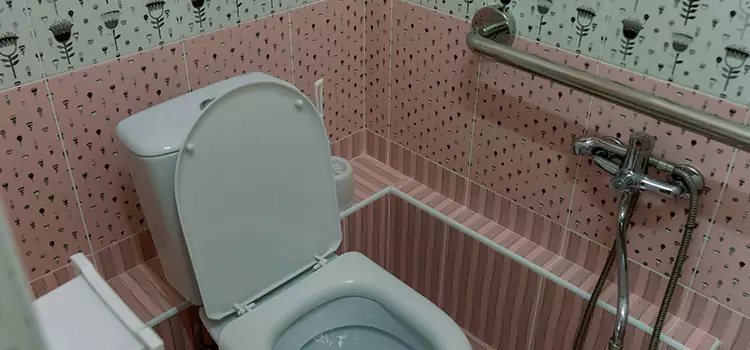 Meeting Diverse Needs With Accessible Restroom Solutions in Mishawaka, IN