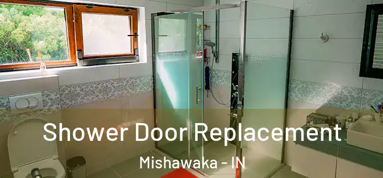 Shower Door Replacement Mishawaka - IN